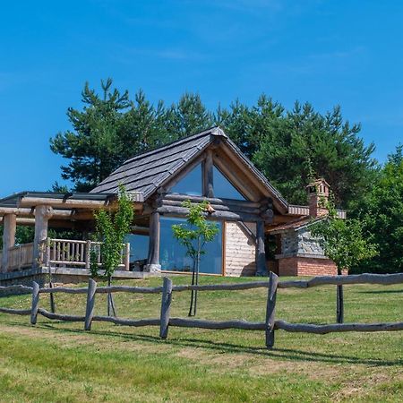 Holiday Home Ernest Zelezni With Hot Tub Ivancna Gorica Exteriér fotografie
